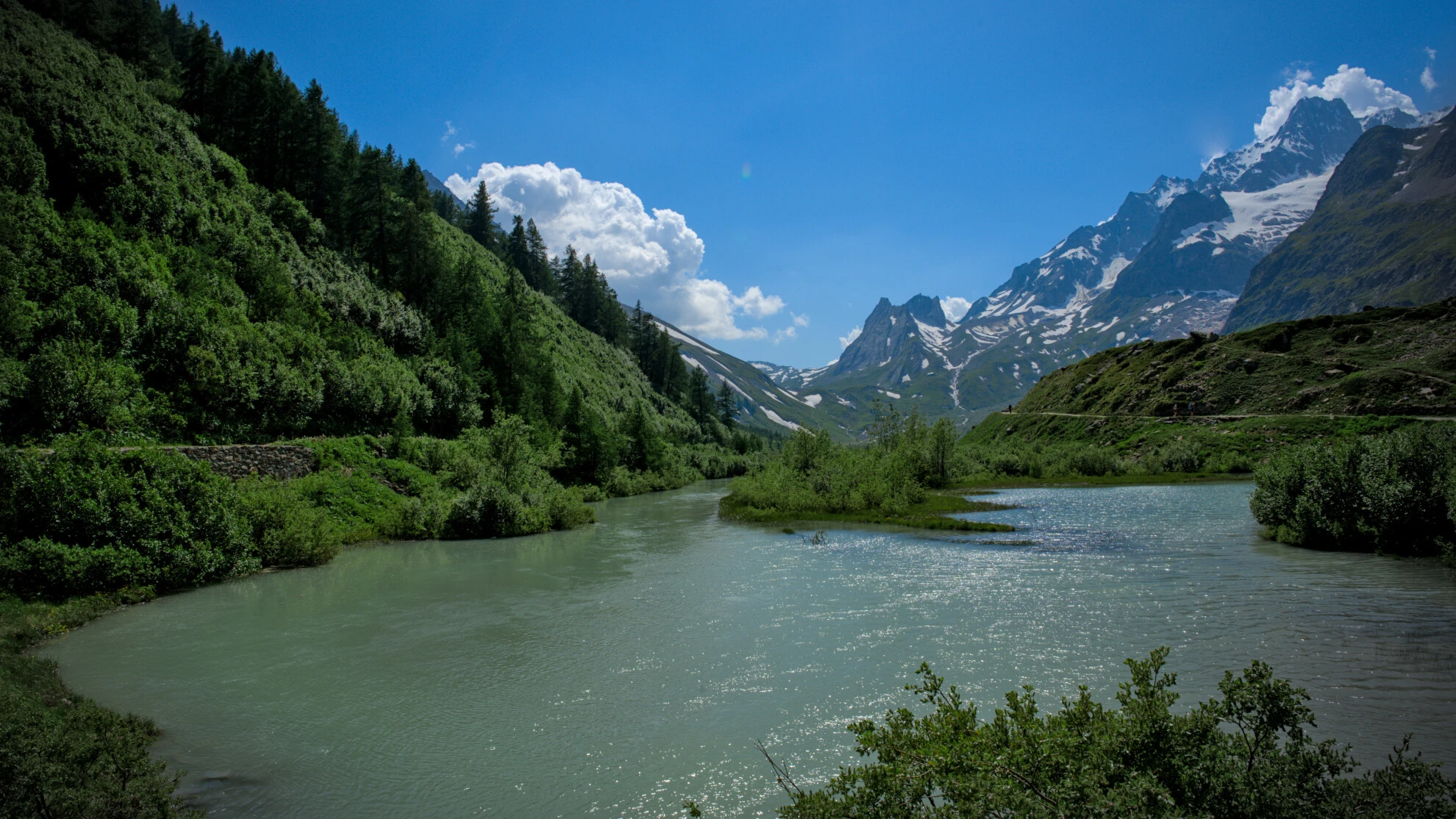 The Val Ferret beneath the Grandes Jorasses, between meadow and glacial stream