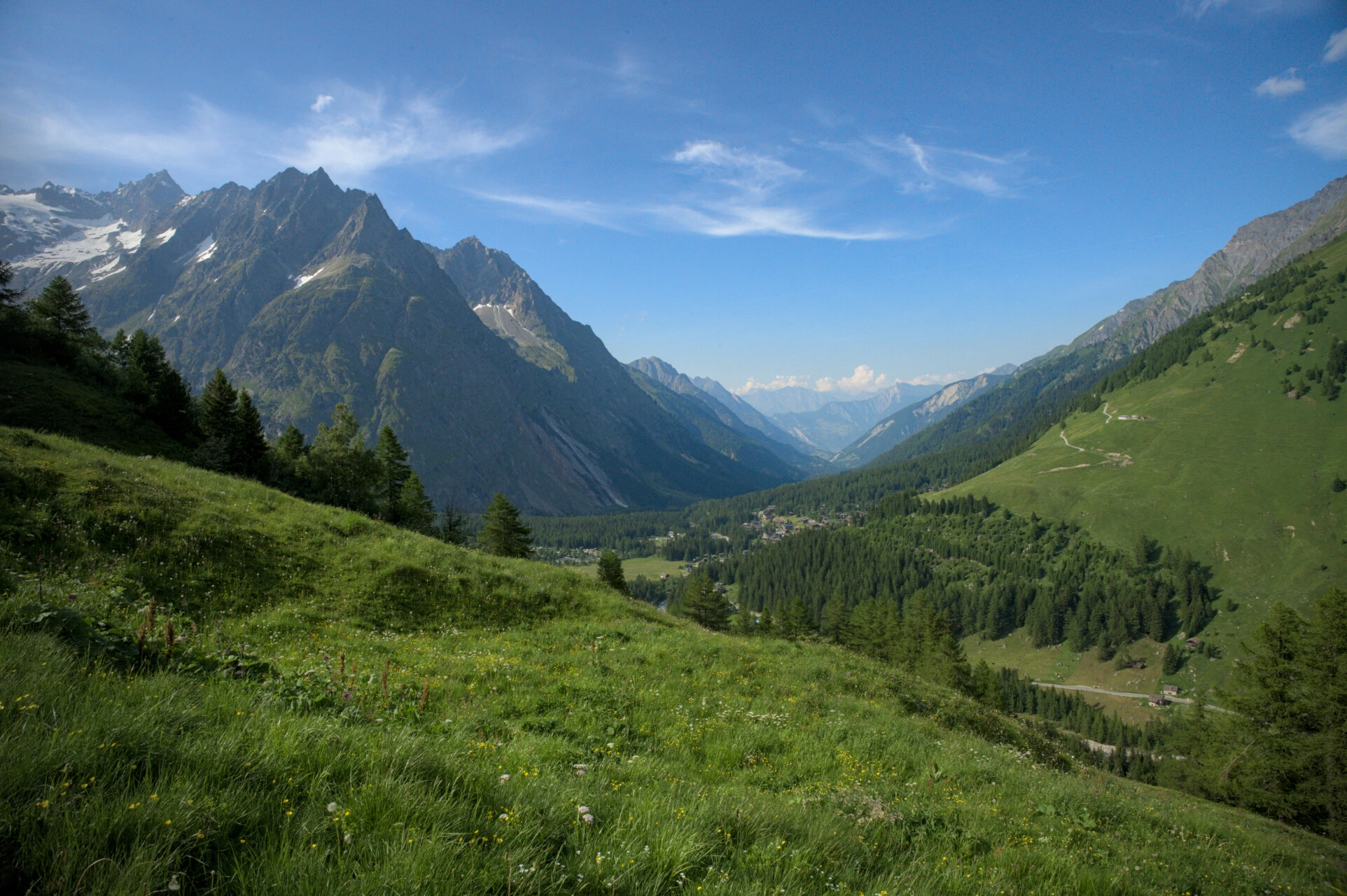 Swiss Val Ferret meadow with Mont Blanc glaciers as a backdrop