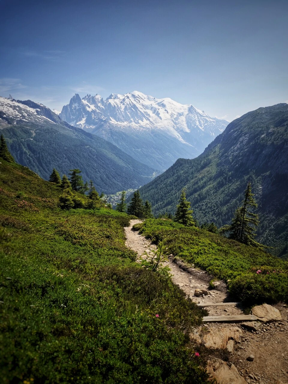 Alpine meadow trail with a view of Mont-Blanc, between the Col de Balme and Tre-le-Champ