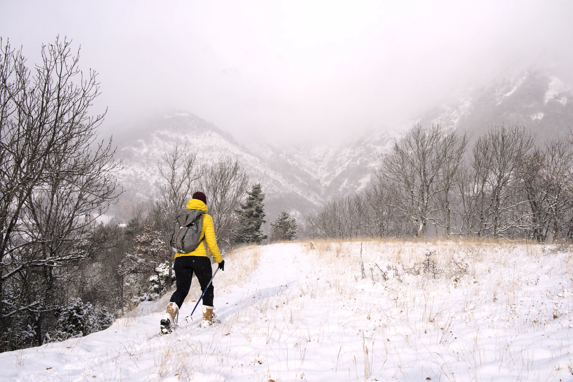 snowshoeing initiation