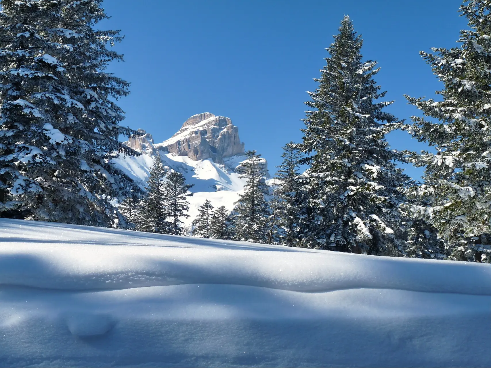 New Year mountain refuge Obiou