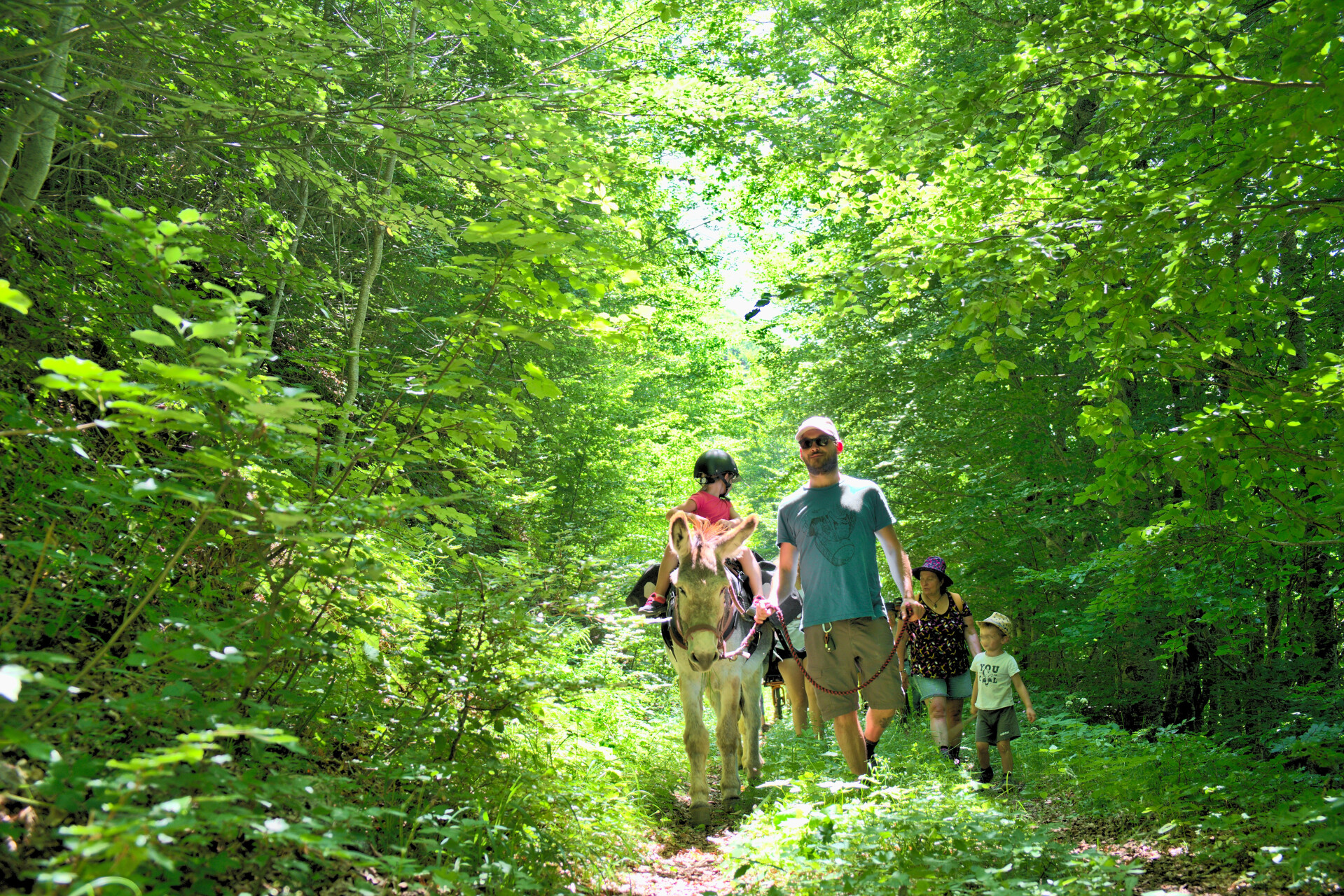 Donkey hike in the Alps