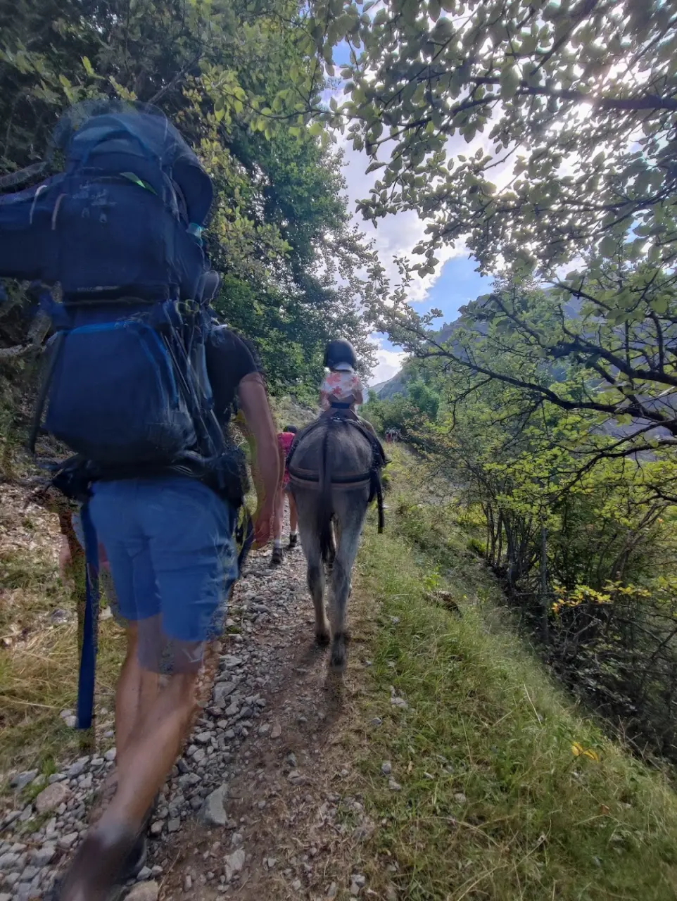 Family hiking with donkeys
