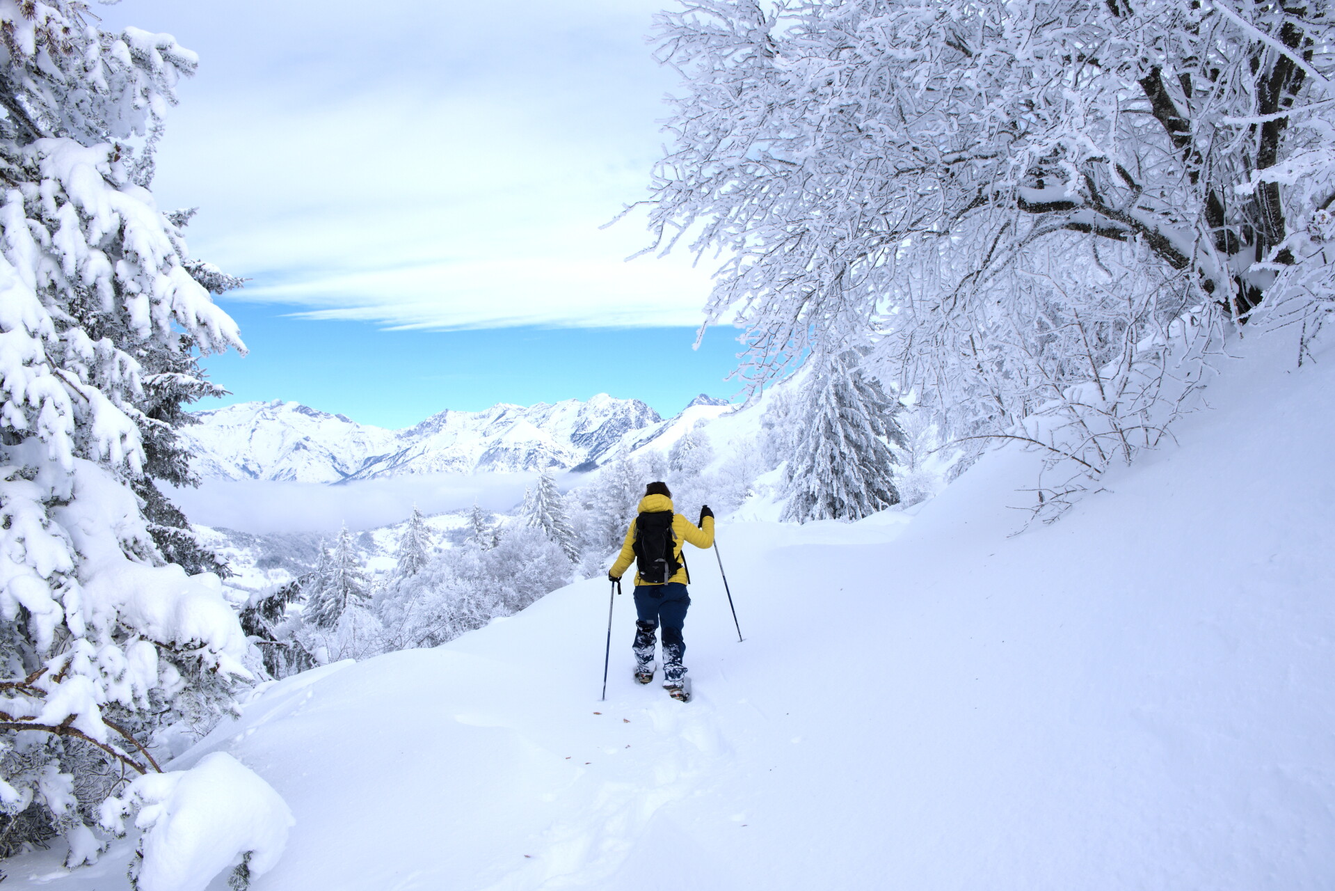 Snowshoeing trip in the Hautes-Alpes