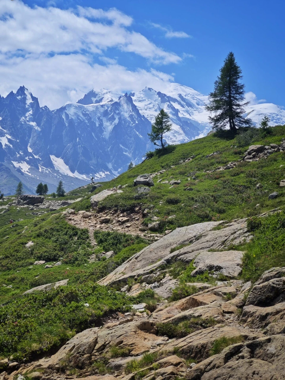 The trail above the col des Montets, with the Mont-Blanc massif facing you the whole way up