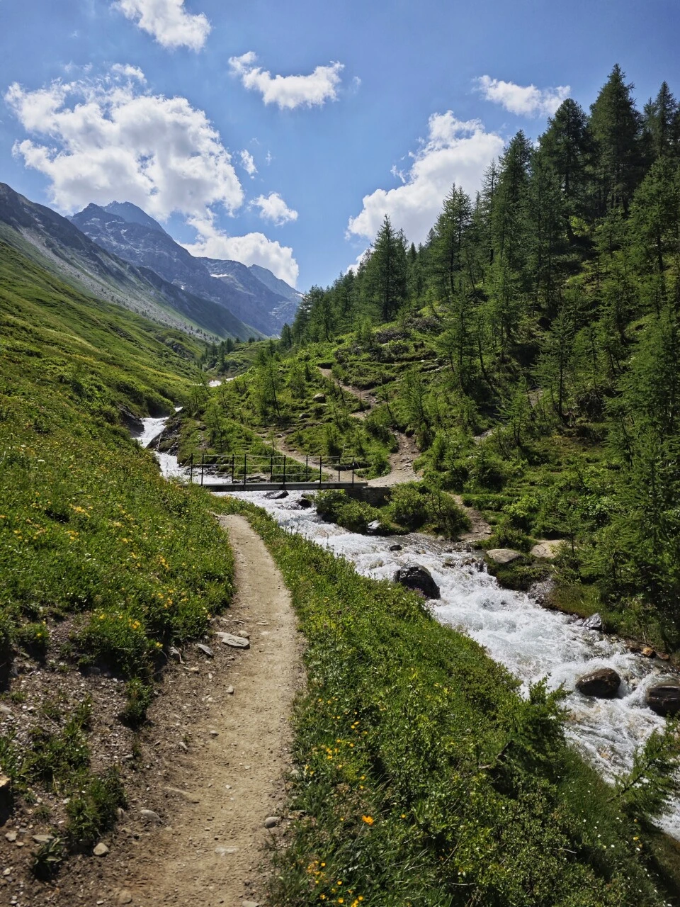 Trail along the stream leaving Refuge Bonatti