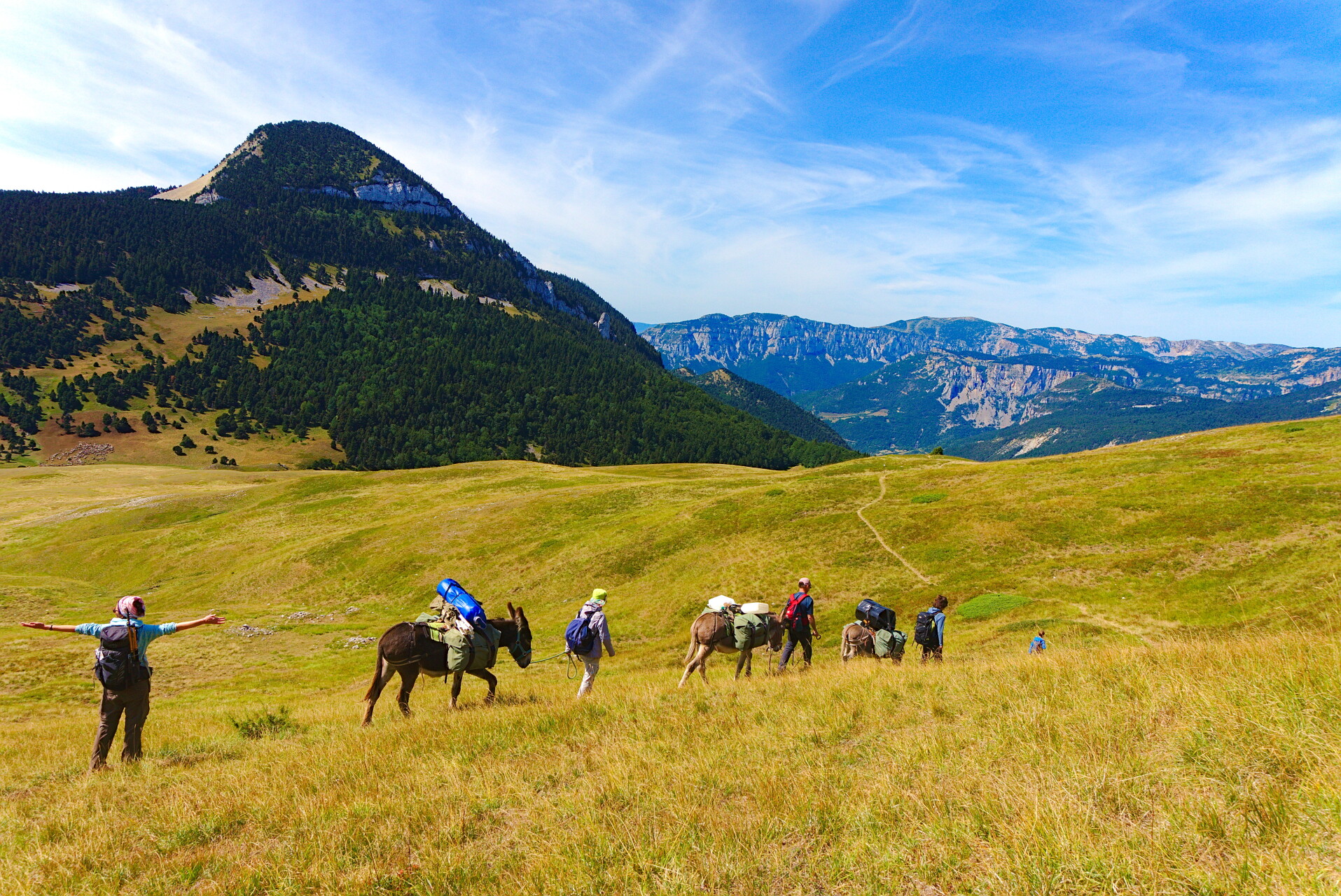 Donkey trek in the Southern Alps