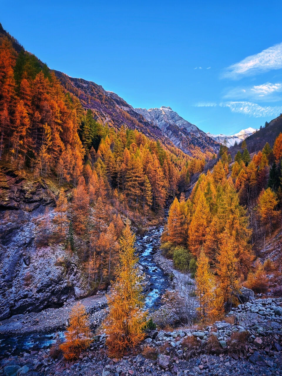 The Drac Blanc valley at Champoléon, larches in fall